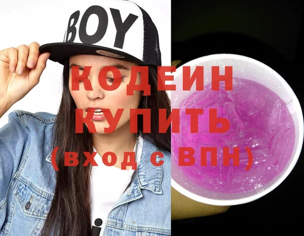 дживик Анива
