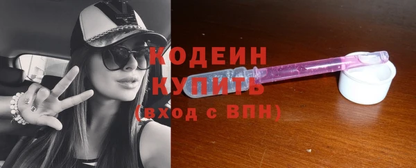 дживик Анива