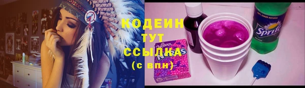 гашик Апатиты