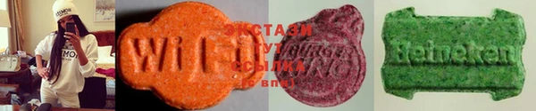 дживик Анива