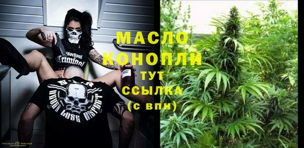 дживик Анива