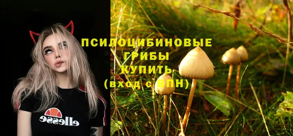 jwh Анжеро-Судженск