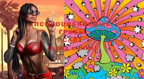 гашик Апатиты