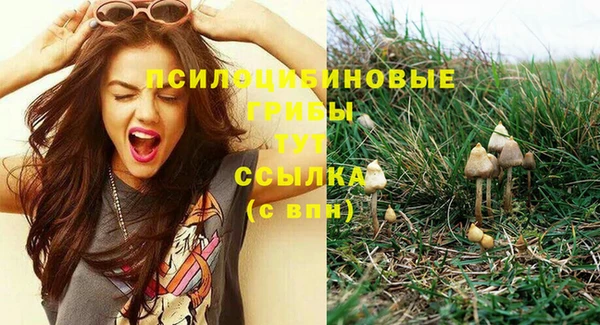 дживик Анива