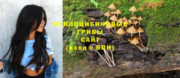 jwh Анжеро-Судженск
