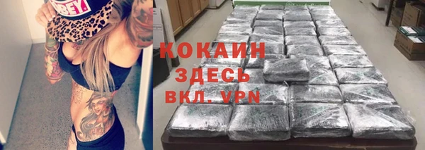 гашик Апатиты