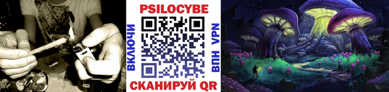 Галлюциногенные грибы мицелий Камешково